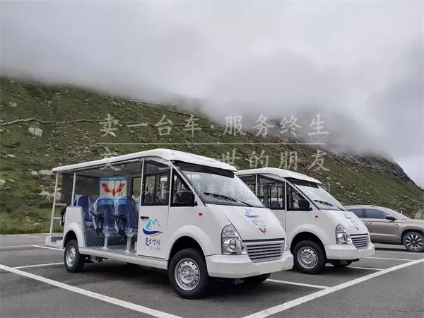 当电动观光车遇到电动巡逻车，会发生怎样的“化学反应”