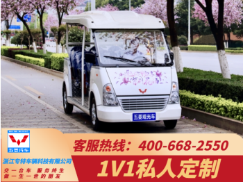 铜陵电动观光车如何助力景区经济发展？用数据说话「五菱」