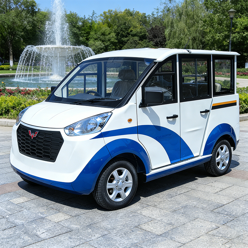 张家港电动巡逻车