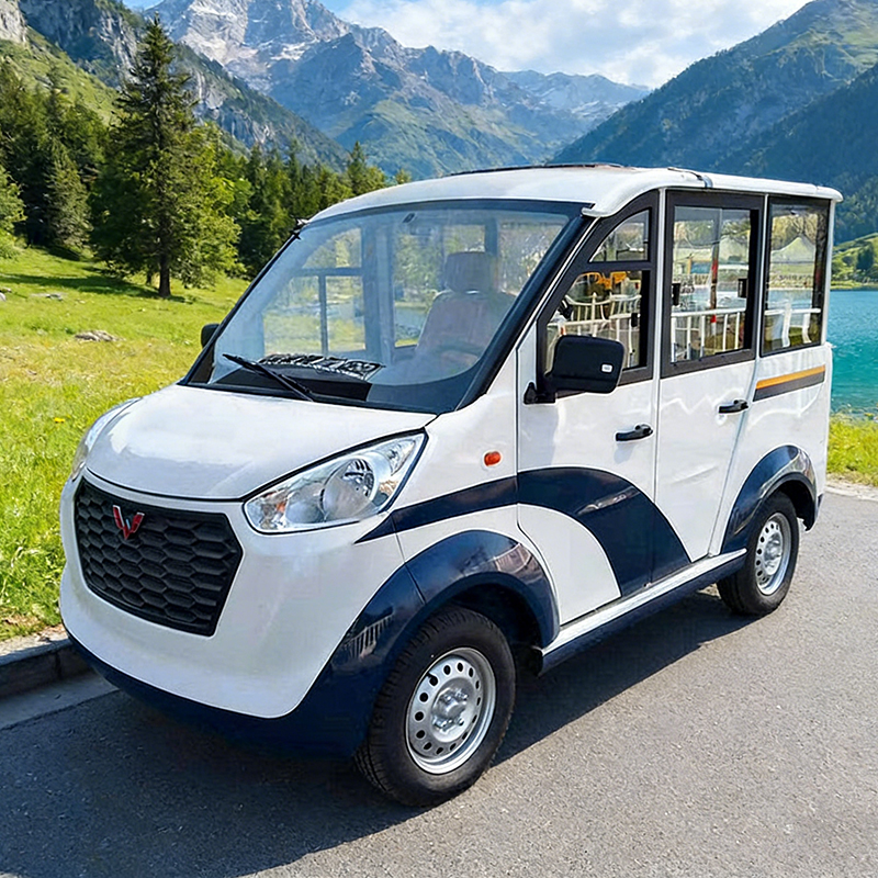 新宾满族自治电动巡逻车