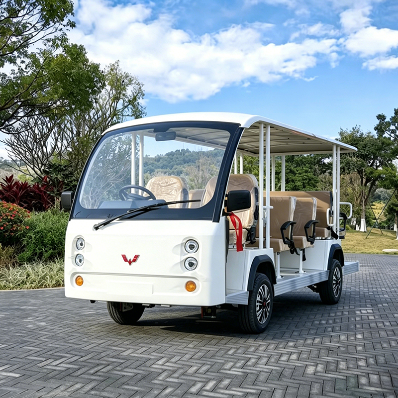 中阳14座锂电观光车