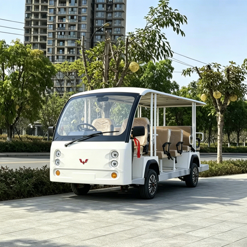 中阳14座锂电观光车