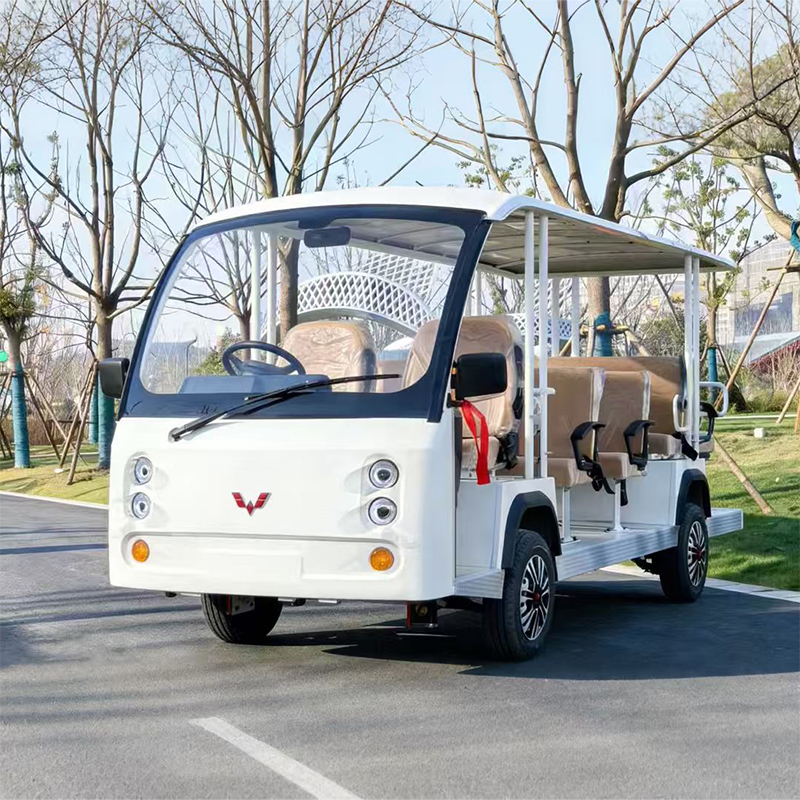 中阳14座锂电观光车